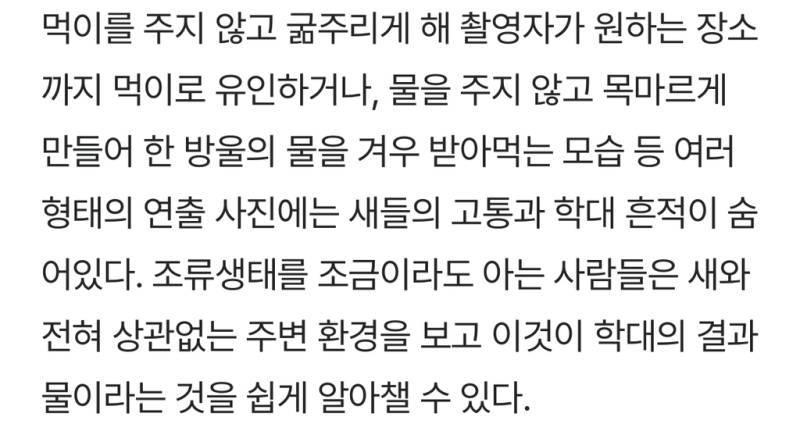 새덕후들의 만행의 내용을 보여주는 이미지 관련 이미지 4