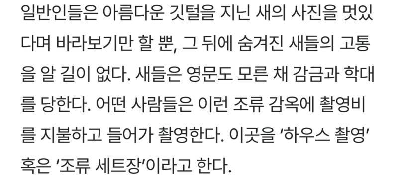 새덕후들의 만행의 내용을 보여주는 이미지 관련 이미지 5