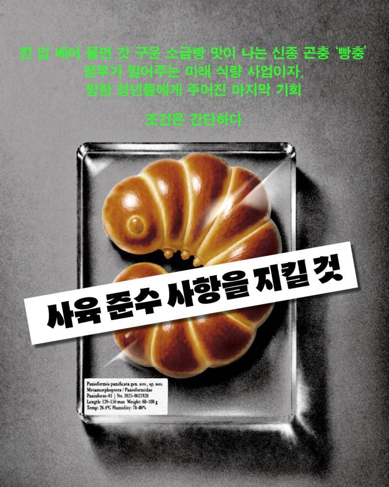 진짜 재밌음 왜 도서전에서 1위했는지 알겠음의 내용을 보여주는 이미지