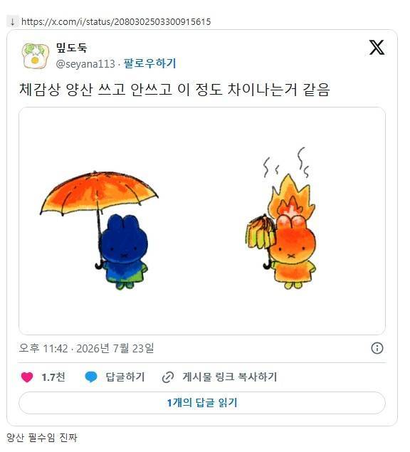 체감상 양산 쓰고 안쓰고 이 정도 차이나는거 같음의 내용을 보여주는 이미지
