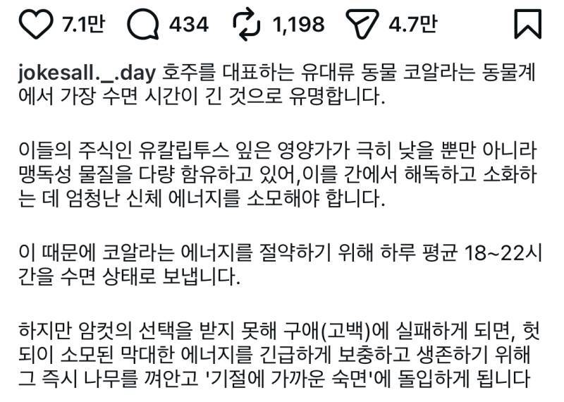 수컷 코알라는 고백에 실패하면 잠을 자러 간다.의 내용을 보여주는 이미지 관련 이미지 3