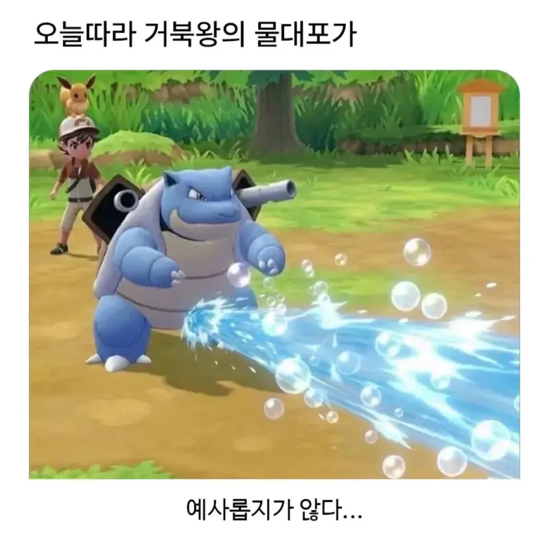 1784902537792240.webp