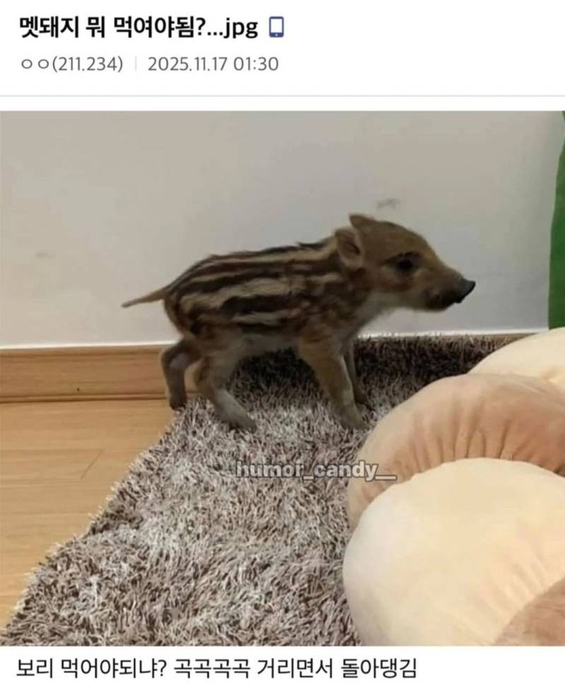 6EfjWeTOlW4AweQAQQwCMS.jpg
