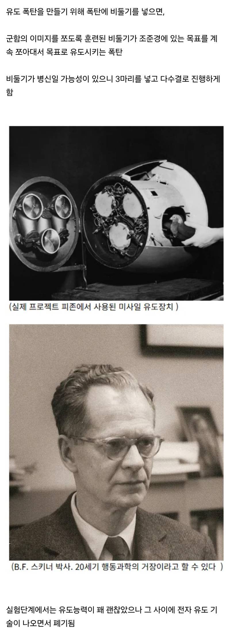 비둘기 유도 폭탄..gif의 내용을 보여주는 이미지 관련 이미지 2