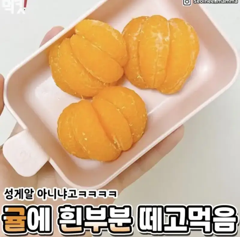 편식 심한 사람들 특징의 내용을 보여주는 이미지 관련 이미지 2