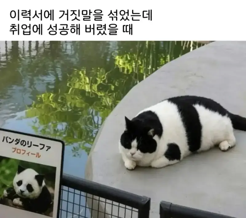 이력서 거짓말로 썼는데 취업에 성공해 버렸을 때...의 내용을 보여주는 이미지