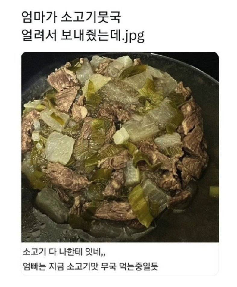 엄마가 소고기뭇국 얼려서 보내줬는데의 내용을 보여주는 이미지
