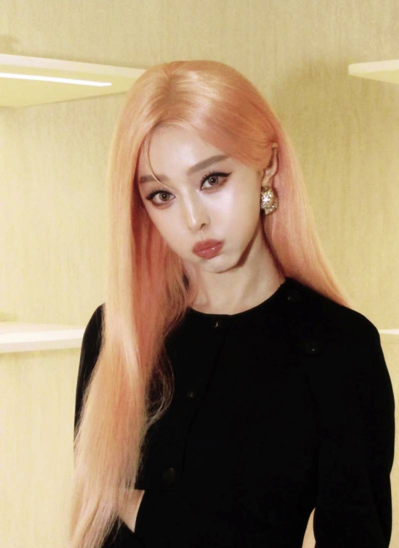 핑크머리 했다는 판빙빙의 내용을 보여주는 이미지 관련 이미지 2