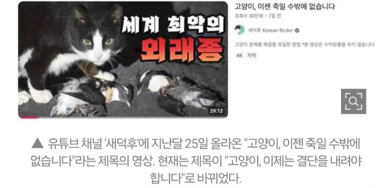 <비둘기를 위한 시민모임>에서도 새덕후 반박에 동참의 내용을 보여주는 이미지