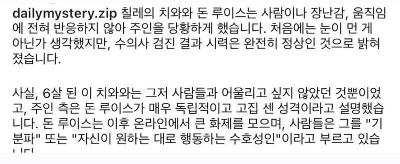 실명인 줄 알았던 강아지의 진실의 내용을 보여주는 이미지 관련 이미지 2