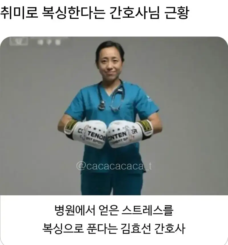 취미로 복싱한다는 간호사의 내용을 보여주는 이미지