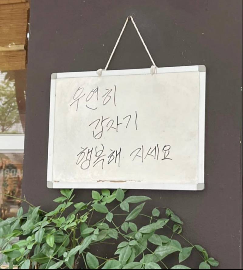우연히 갑자기 행복해지세요의 내용을 보여주는 이미지