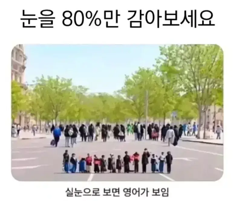 1785205491861764.webp