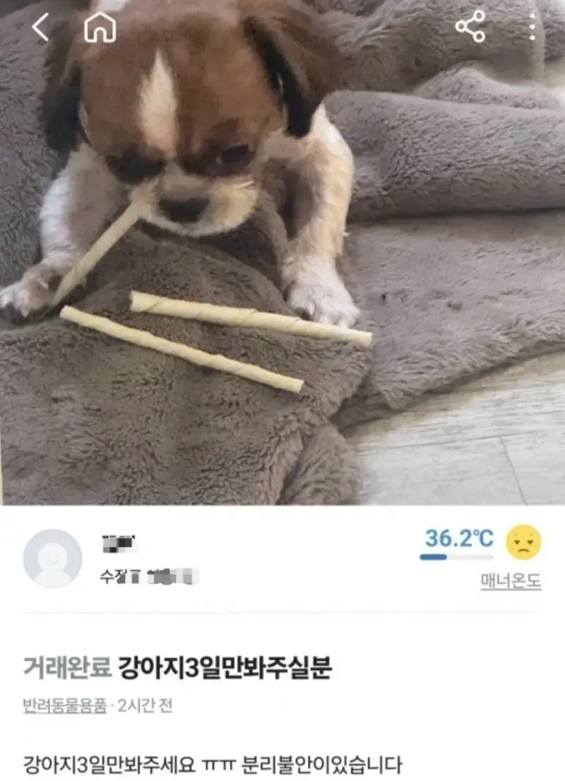 IMG_6892.jpeg 당근마켓에 올라온 강아지 유기방법 레전드..