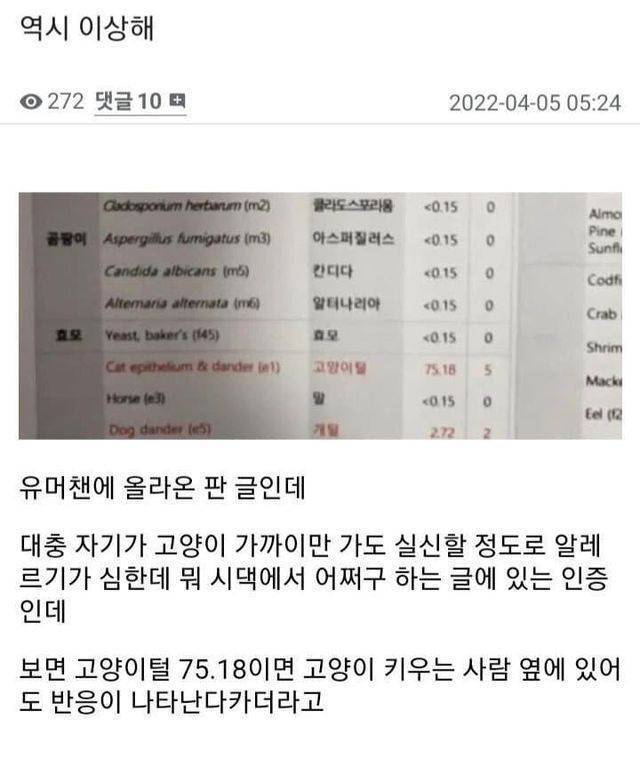 71HHcS69VKggMoS60YIo0a.jpg