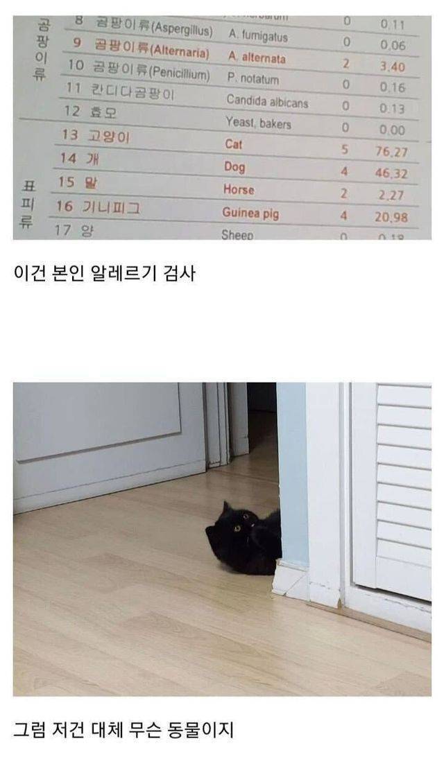6NAymJC9J8G8YU2QIMoC2k.jpg