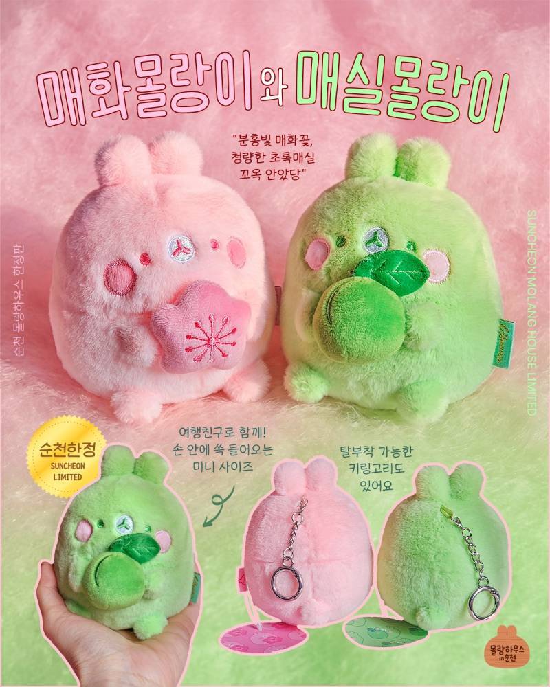매화몰랑이🩷 매실몰랑이💚의 내용을 보여주는 이미지