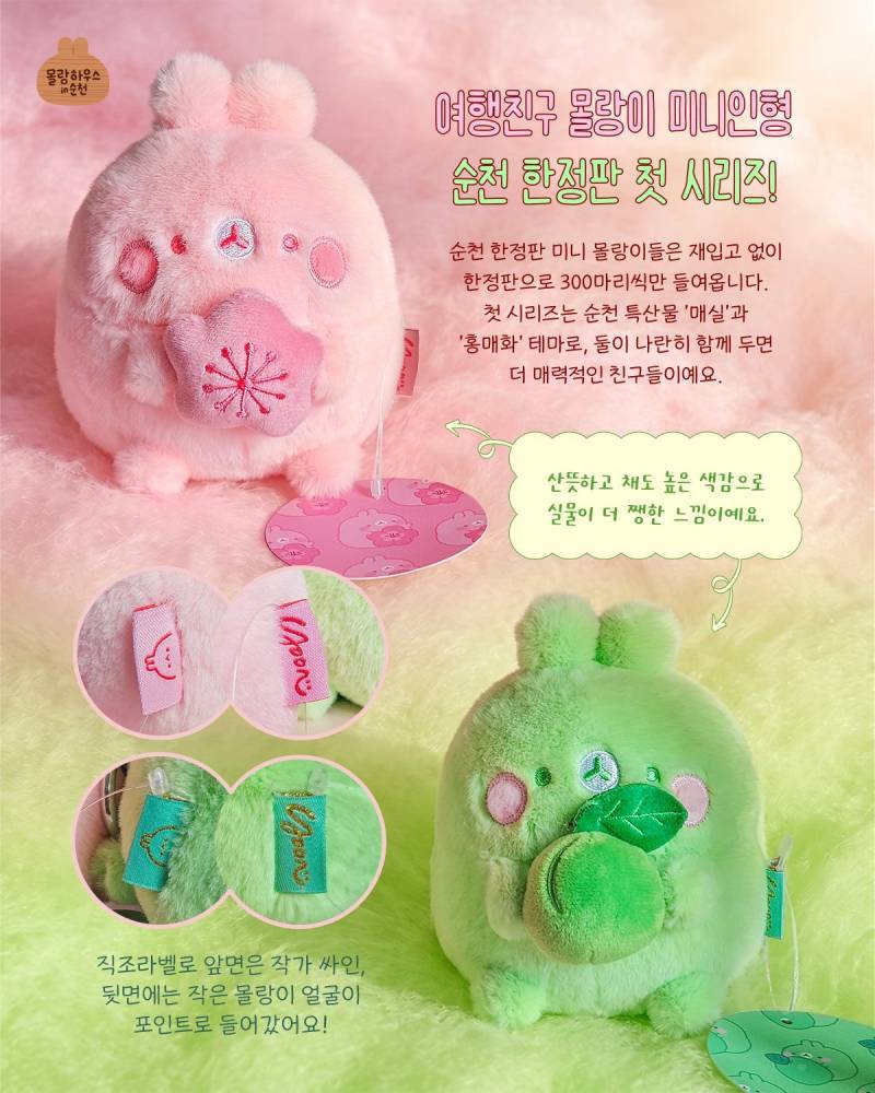 매화몰랑이🩷 매실몰랑이💚의 내용을 보여주는 이미지 관련 이미지 2