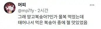 경상도 쪽으로 비가 덜 내려서 복숭아 작황이 끝내준다고 함의 내용을 보여주는 이미지 관련 이미지 10