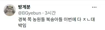 경상도 쪽으로 비가 덜 내려서 복숭아 작황이 끝내준다고 함의 내용을 보여주는 이미지 관련 이미지 12
