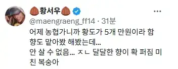 경상도 쪽으로 비가 덜 내려서 복숭아 작황이 끝내준다고 함의 내용을 보여주는 이미지 관련 이미지 8
