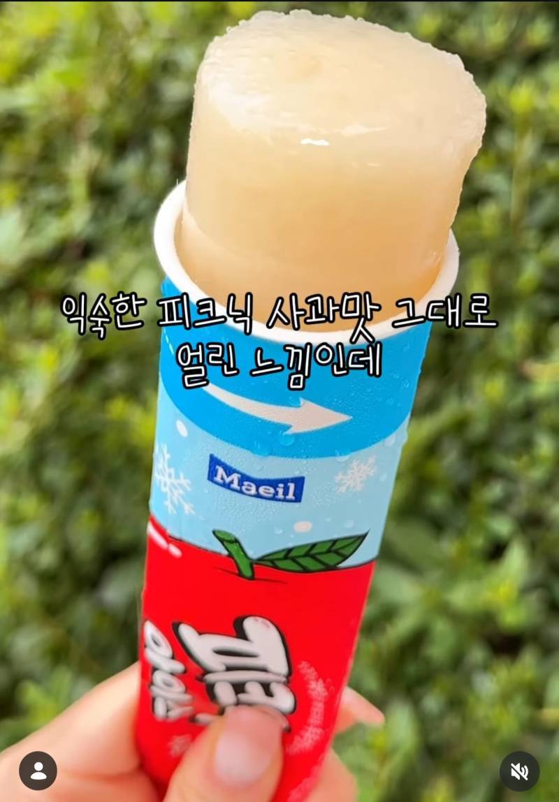피크닉 아이스크림 판매의 내용을 보여주는 이미지