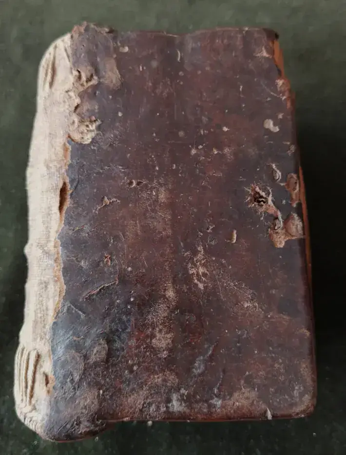 폴란드가 소유하고 있는 독일의 국보급 문화유산들의 내용을 보여주는 이미지 관련 이미지 11