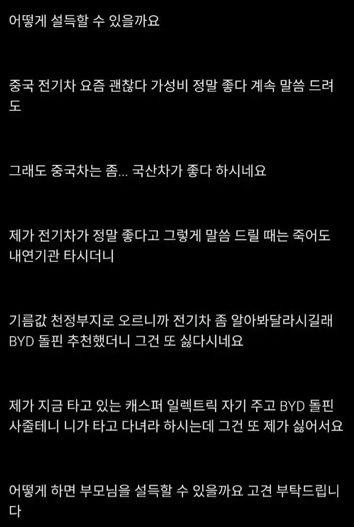 BYD가 싫다는 어머니 설득하는 방법 있을까요의 내용을 보여주는 이미지 관련 이미지 2