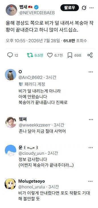 올여름 경상도 복숭아를 먹어야 하는 이유의 내용을 보여주는 이미지