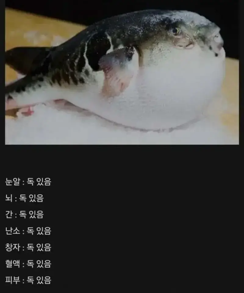 3bSt70PJ3WC6yScWKMo6mg.webp