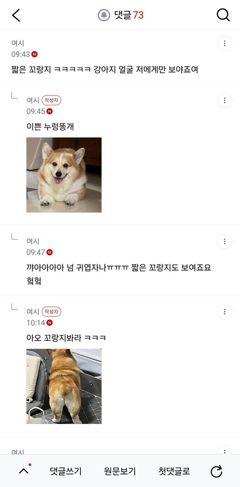 우리 강아지 계정에 누가 똥개라고 댓달아서의 내용을 보여주는 이미지 관련 이미지 3