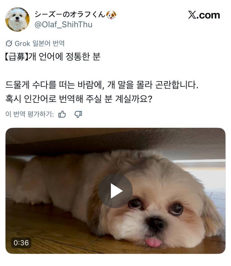 개가 자꾸 뭐라고 하는데 혹시 인간어로 번역해 주실 분 계실까요?의 내용을 보여주는 이미지