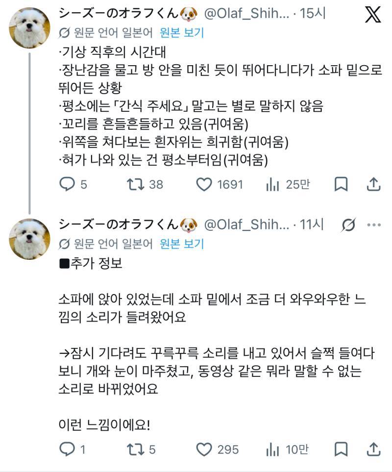 개가 자꾸 뭐라고 하는데 혹시 인간어로 번역해 주실 분 계실까요?의 내용을 보여주는 이미지 관련 이미지 2