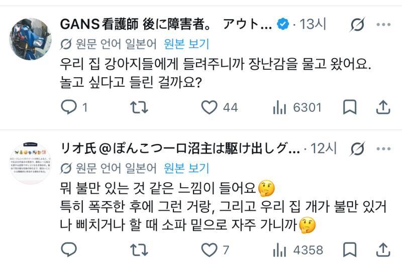 개가 자꾸 뭐라고 하는데 혹시 인간어로 번역해 주실 분 계실까요?의 내용을 보여주는 이미지 관련 이미지 5