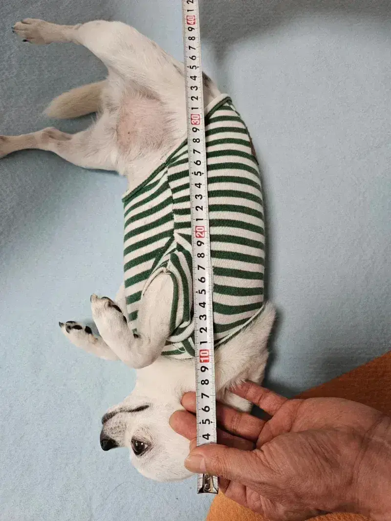 1785474402693734.webp