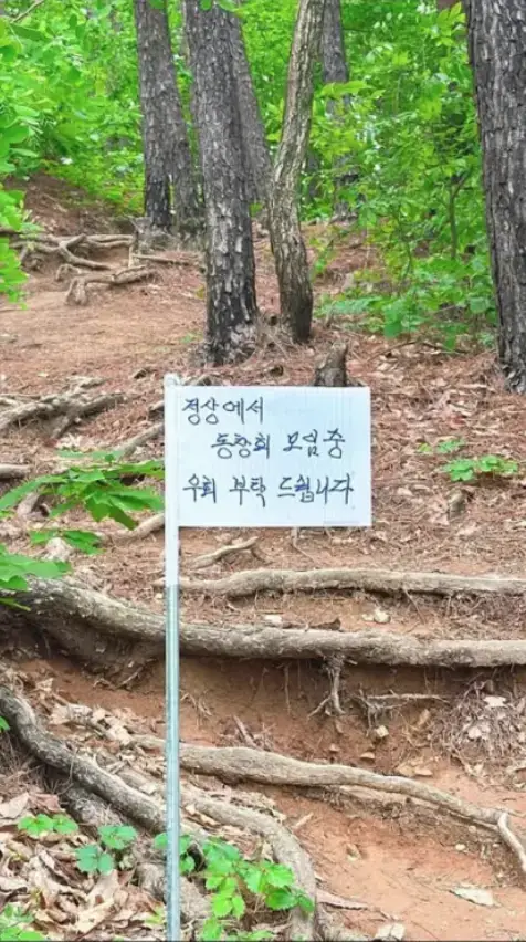 정신나간 등산모임 놈들의 내용을 보여주는 이미지