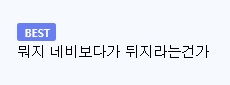 현재 이용자들 민심 개조진 네비게이션 어플의 내용을 보여주는 이미지 관련 이미지 2