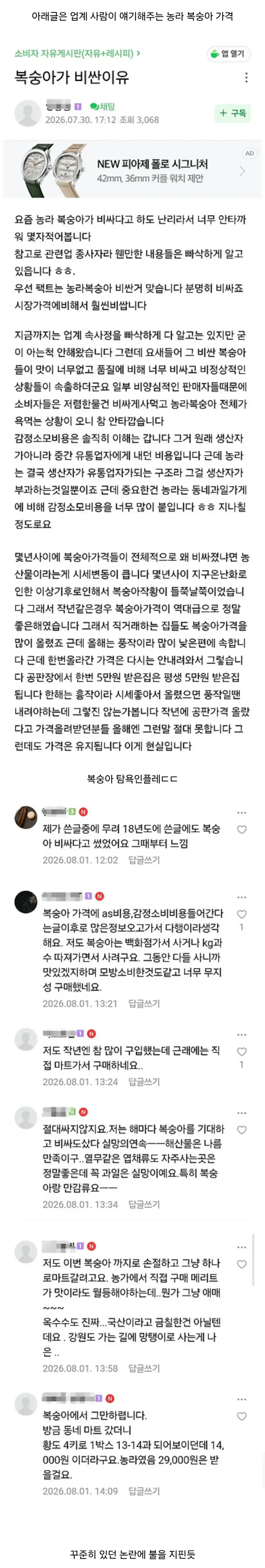 농라카페 6만원 복숭아 판매자의 입장의 내용을 보여주는 이미지 관련 이미지 3