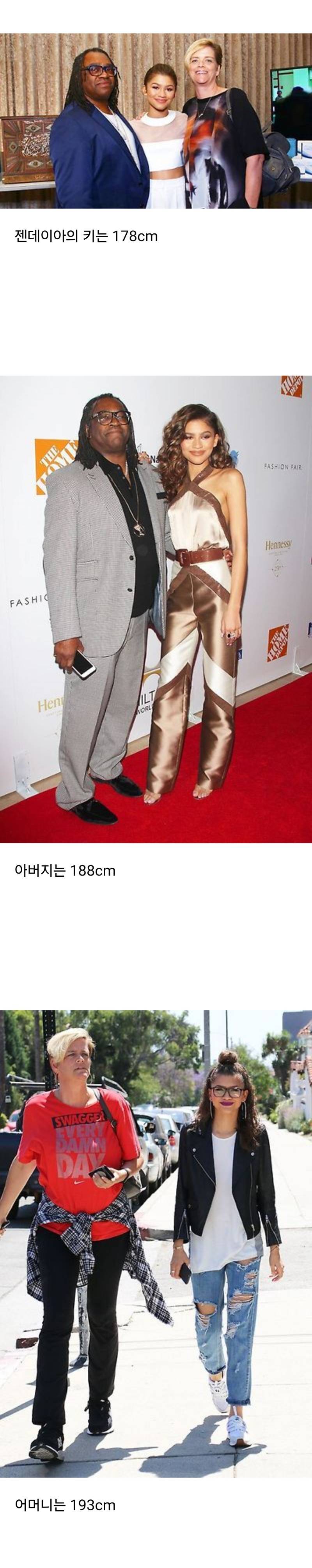 부모님에 비해서는 키 작은편이라 볼 수 있는 젠데이아의 내용을 보여주는 이미지
