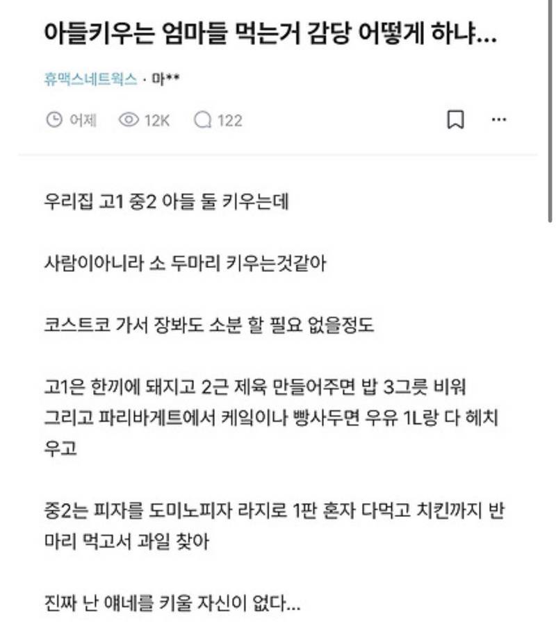 개나 고양이도 과식한다 싶으면 제한 급식을 하는데 아들 엄마들은 왜 이러는 거임의 내용을 보여주는 이미지