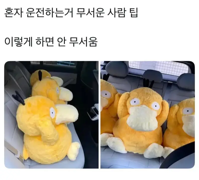 혼자 운전하는거 무서운 사람 팁의 내용을 보여주는 이미지