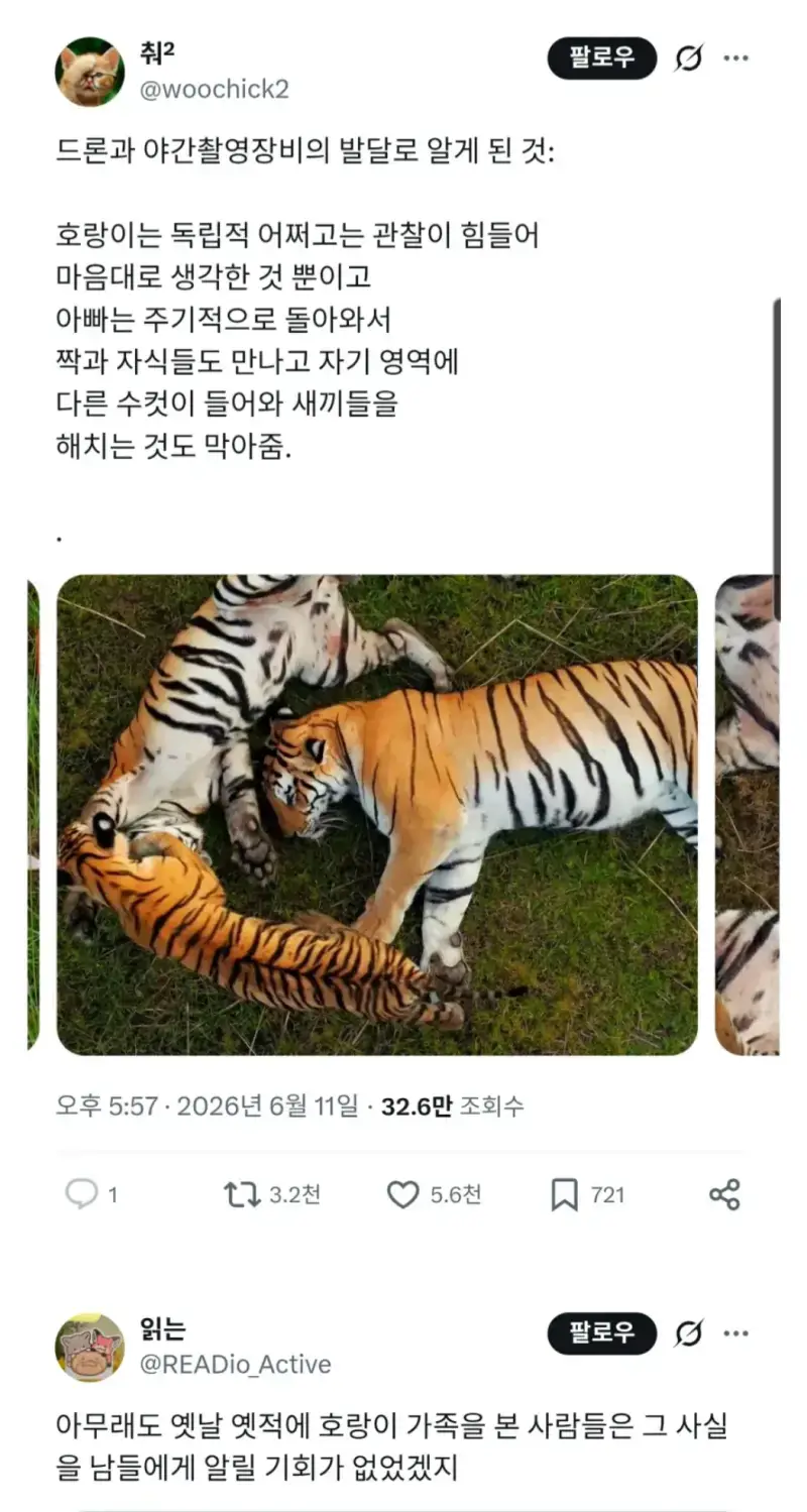 1785712803009529.webp