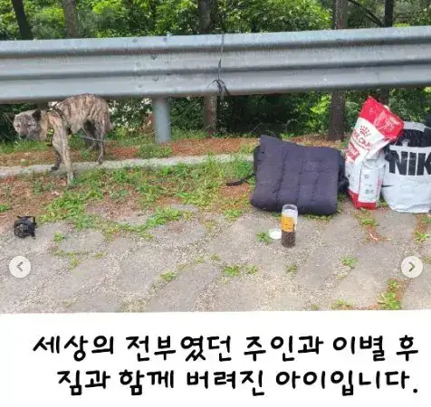 탄천주차장 버려진 강아지 사연의 내용을 보여주는 이미지 관련 이미지 2