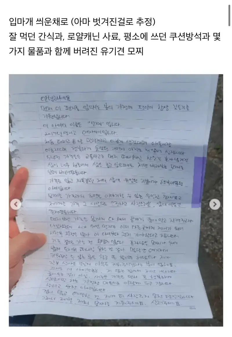 탄천주차장 버려진 강아지 사연의 내용을 보여주는 이미지 관련 이미지 3