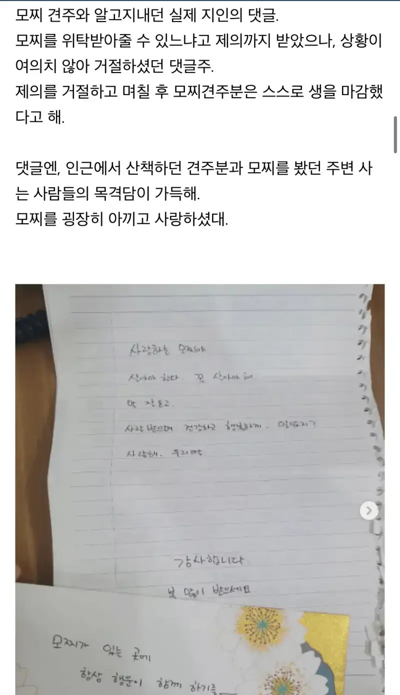 탄천주차장 버려진 강아지 사연의 내용을 보여주는 이미지 관련 이미지 7