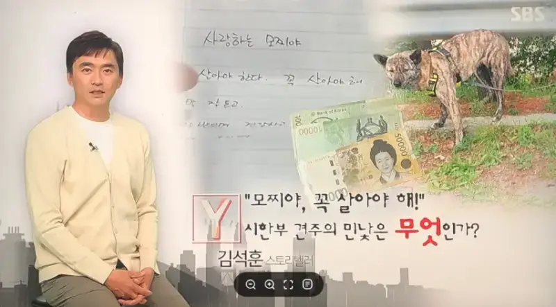 탄천주차장 버려진 강아지 사연의 내용을 보여주는 이미지 관련 이미지 8
