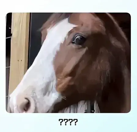 "말" 입장에서 "말"이 안되는 상황의 내용을 보여주는 이미지 관련 이미지 3