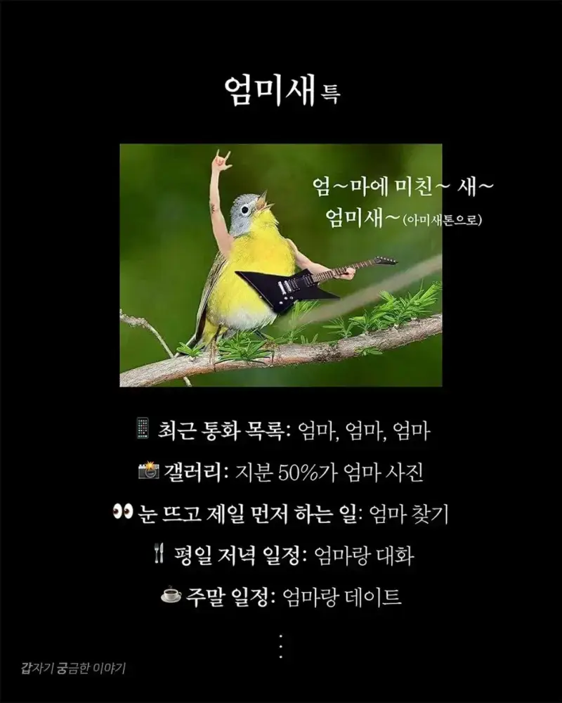 요즘 다들 엄미새 되는 이유의 내용을 보여주는 이미지 관련 이미지 6