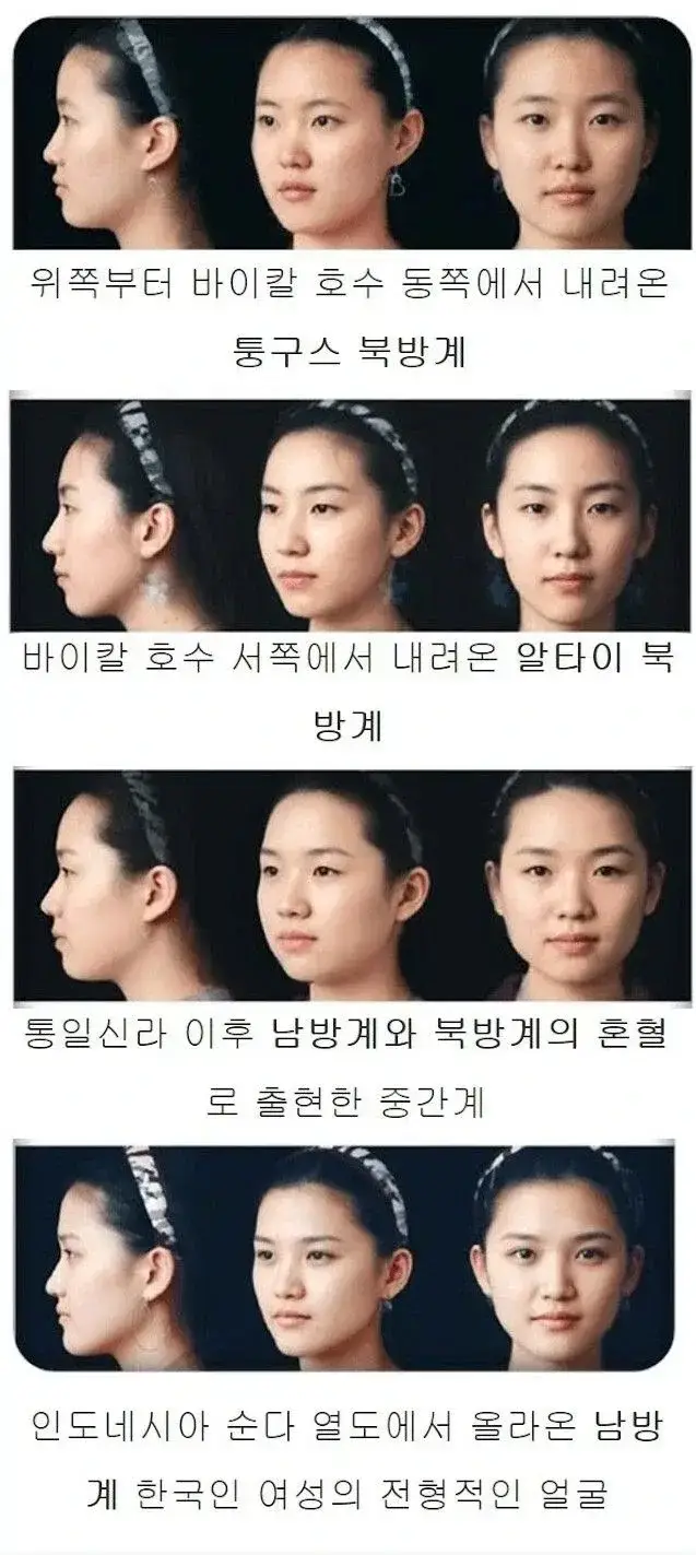 한국의 남방계, 북방계 얼굴형의 종류와 특징의 내용을 보여주는 이미지
