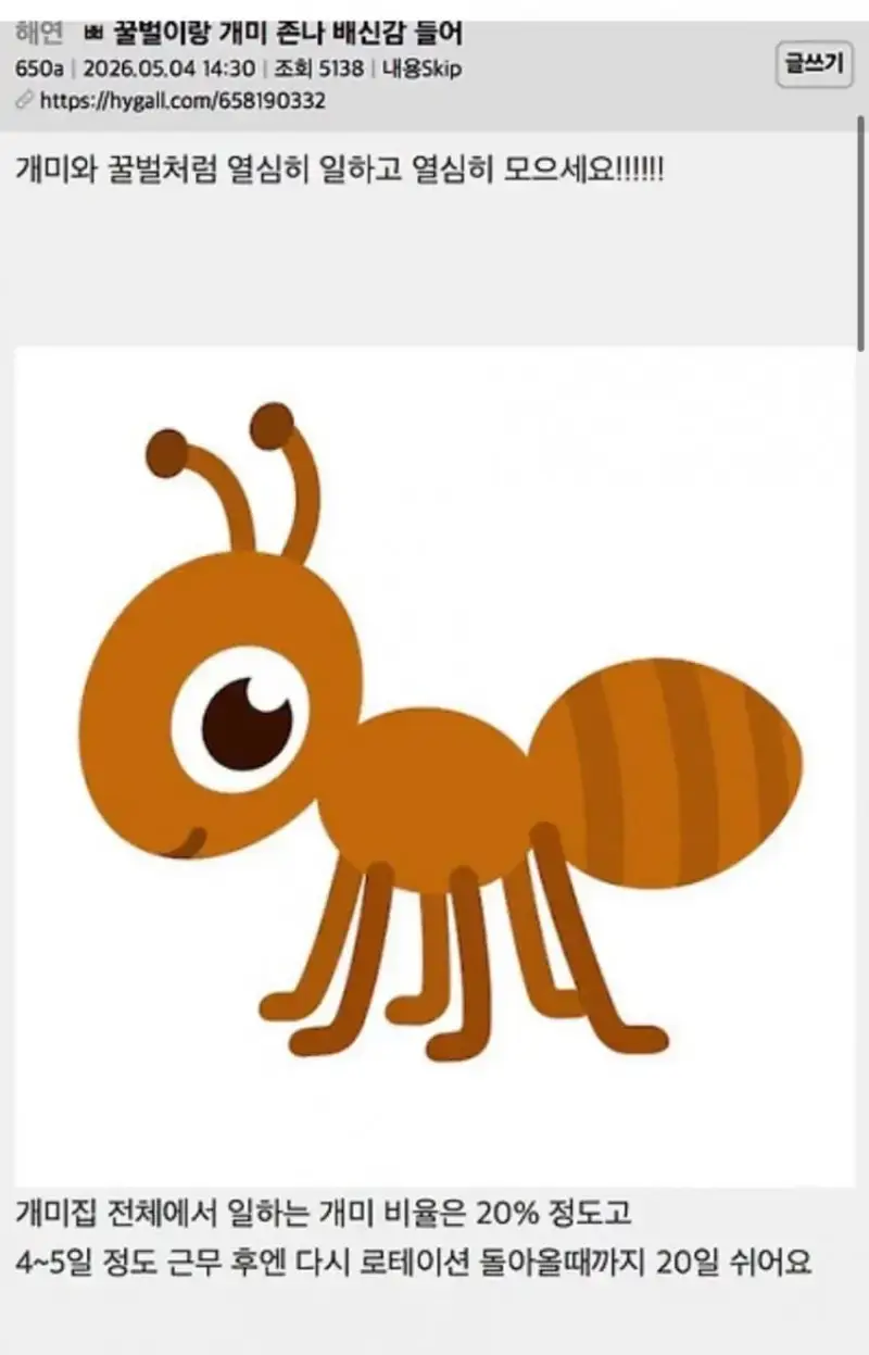 singlebungle1472-20260803-120456-000.jpeg